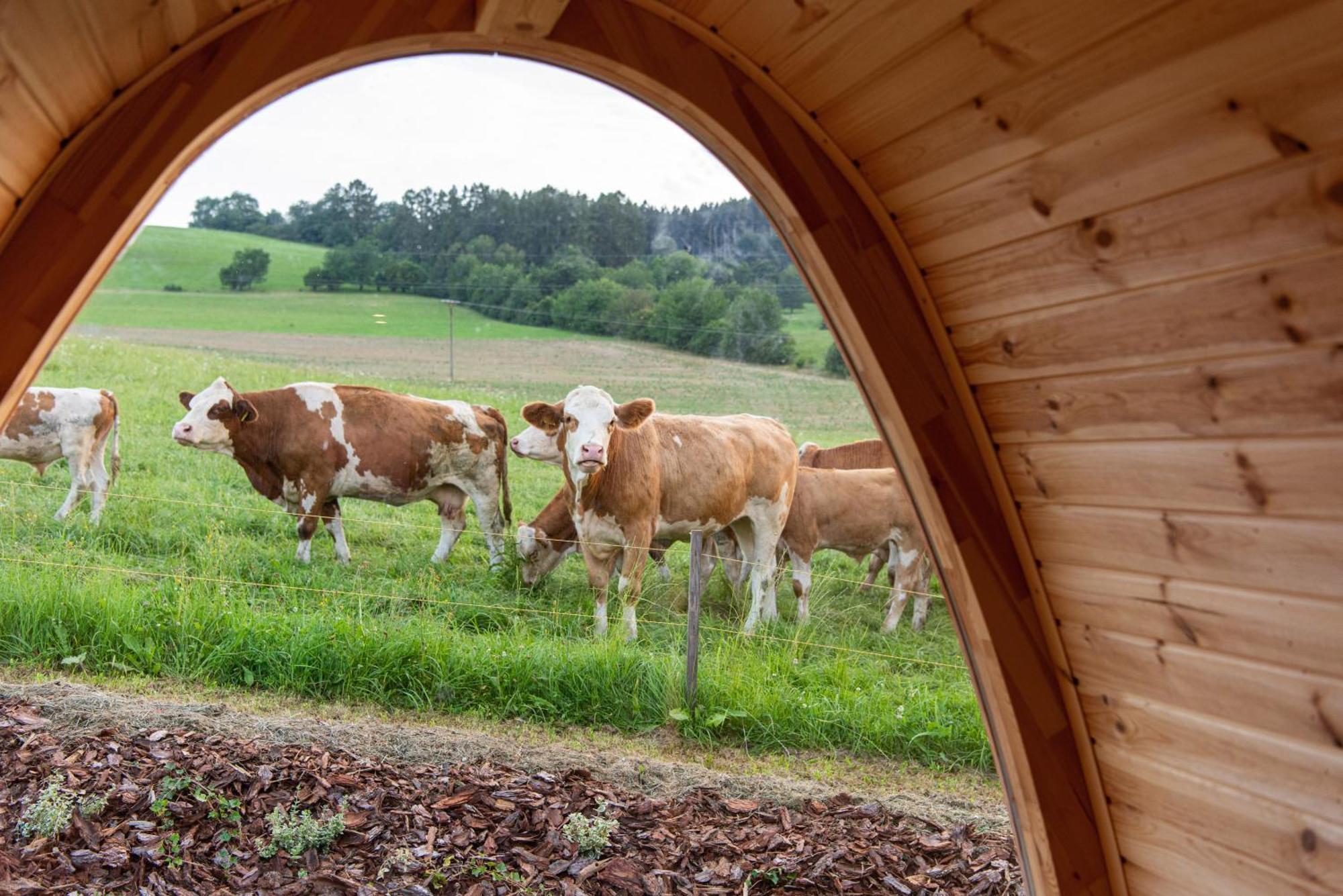 La Boheme Lodges And Glamping Vrhavec Exterior photo